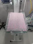 PinkLining